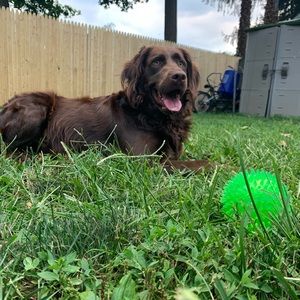 Meet your Posher, Raquel